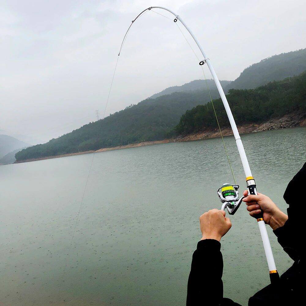 Telescopic Fishing Rod